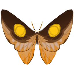 Hellaugen-Schmetterling