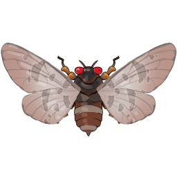 Gemeine Rindenzikade