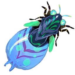 Bahari-Glühwürmchen