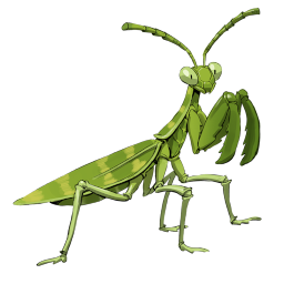 Garten-Gottesanbeterin