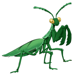 Blattwandler-Gottesanbeterin