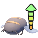 Riesenhonigbündel Plüsch